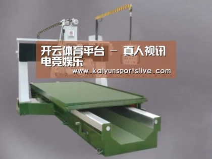 产品名称九
