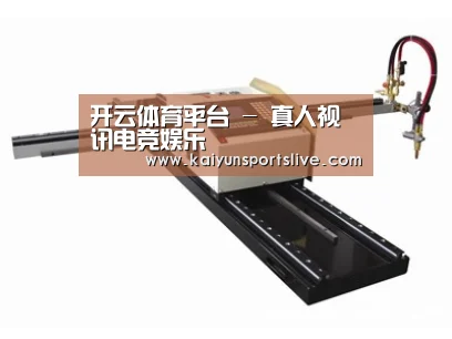 案例展示一