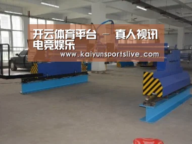 产品名称十九