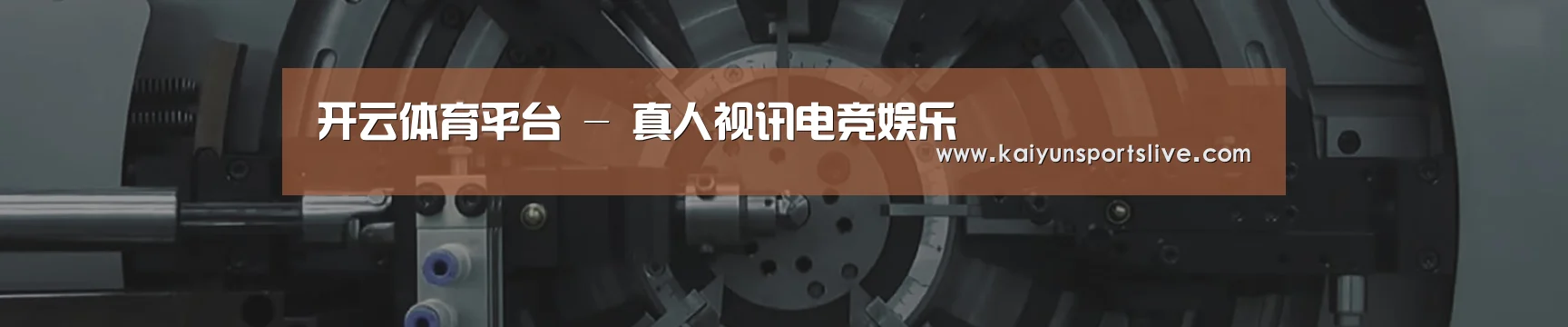某某机械公司